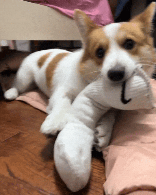 了！几千欧的东西说用就用新葡京娱乐城也是好起来(图2)